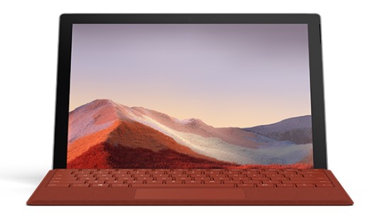 永登清洁和维护 Surface
